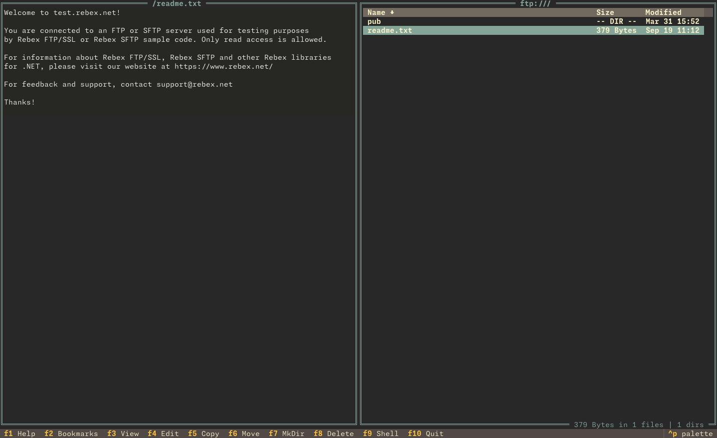 FTP with preview panel