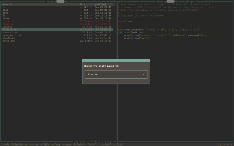 File preview